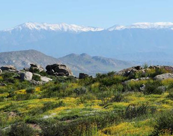 (c) UCR Stan Lim - Motte Rimrock panorama