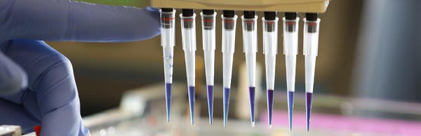 Nematology laboratory (c) UCR / Stan Lim 2019