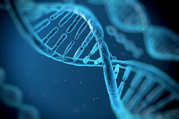 DNA strand (c) istock photo