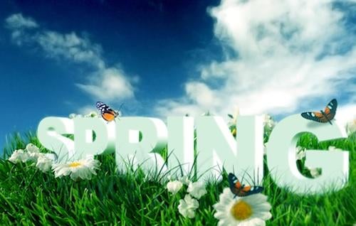 the word spring sitting in green grass with a blue sky and butterflies