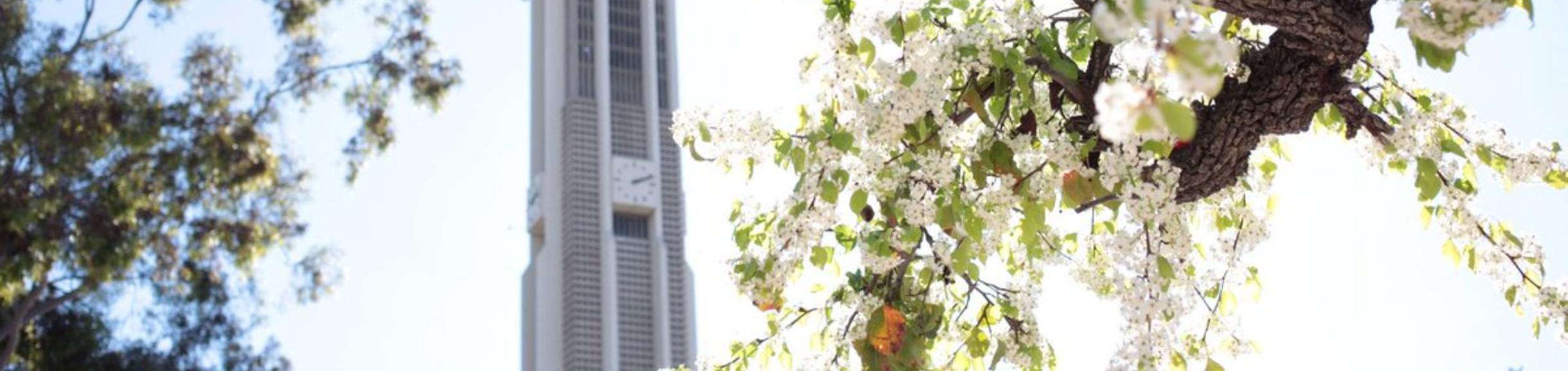 UCR_bell_tower_spring